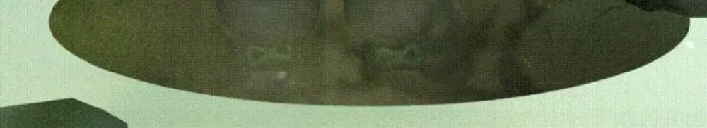 c159a177-5f0d-415d-8487-5381f55d1df9