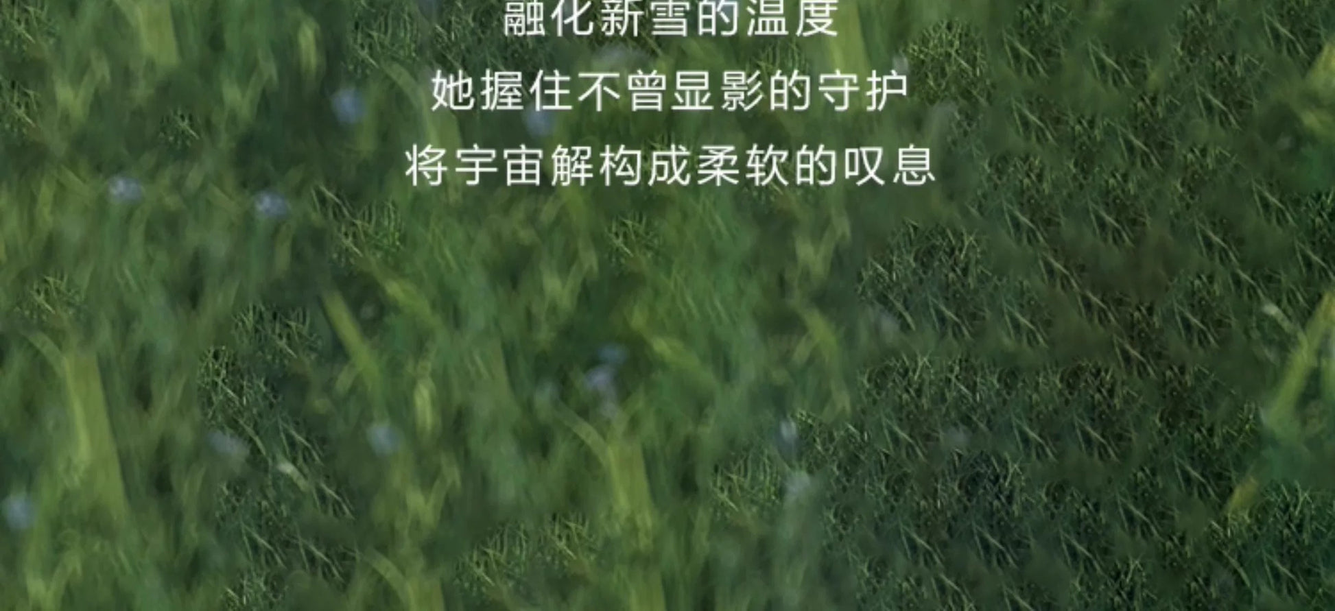 40c9760b-cf62-4cf5-8249-05a717283e58