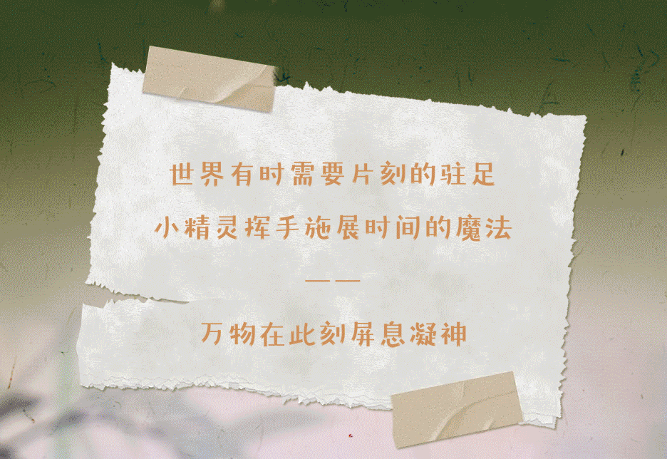 b3da1c6b-622f-44ee-a784-bbc7c72b8019