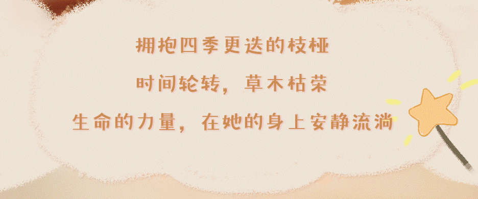 be752ae5-eecb-412c-937d-27b8d5e18c00